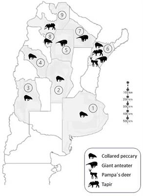 Detection of non-tuberculous mycobacteria in native wildlife species at conservation risk of Argentina